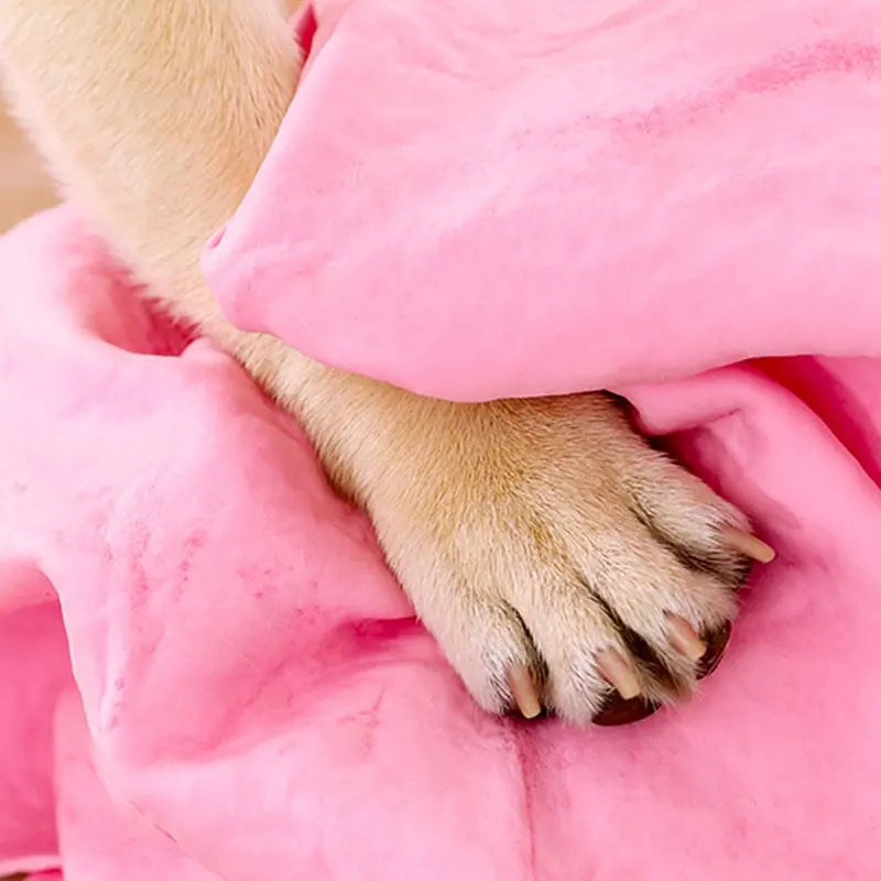 Large Pet Towel, Water Absorber 26x17 Size - GLR SHOPPING