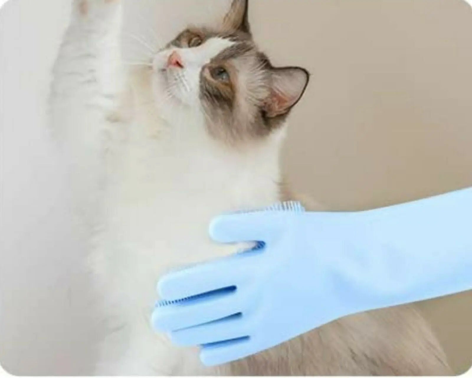 Pet Grooming Silicone Rubber Scrubber Cleaning Blue Color 2 in 1 - GLR SHOPPING