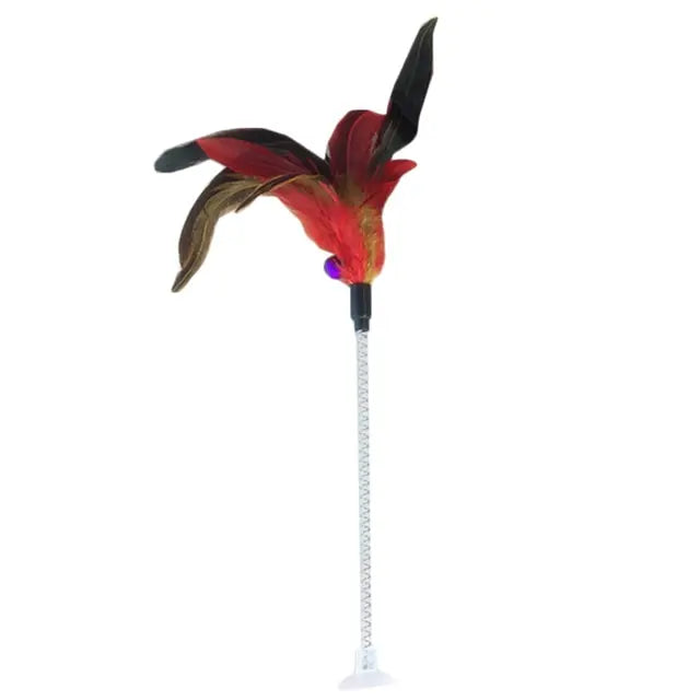 Feather Toy - GLR SHOPPING