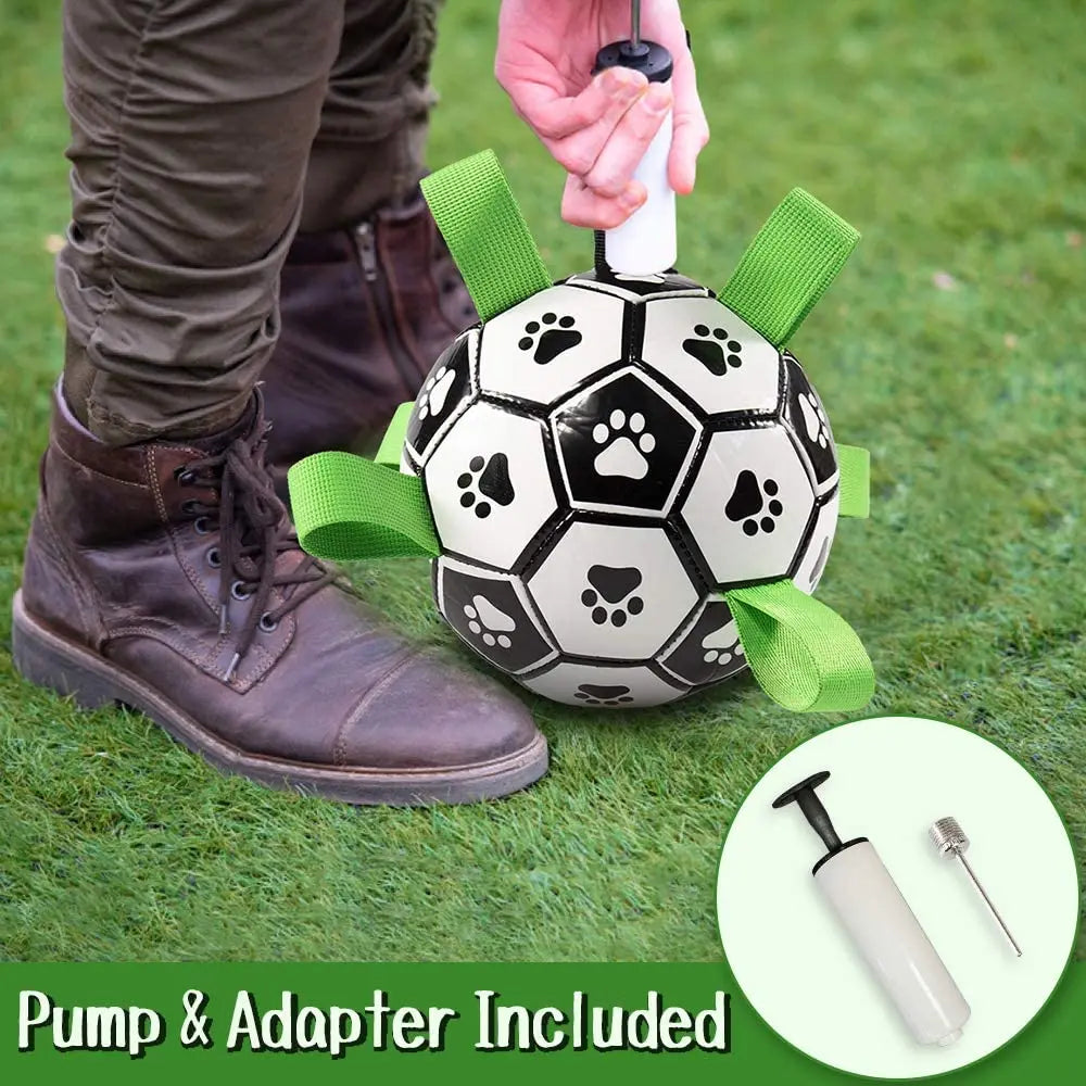 Interactive Pet Toy - GLR SHOPPING
