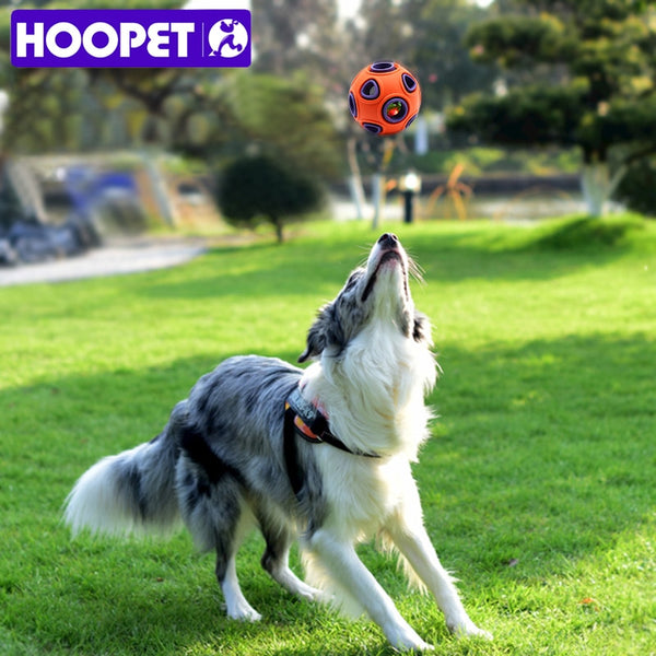 HOOPET Pet Dog Toys Toy Funny Interactive Ball