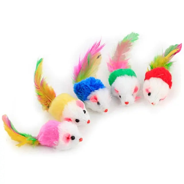 Feather Toy - GLR SHOPPING