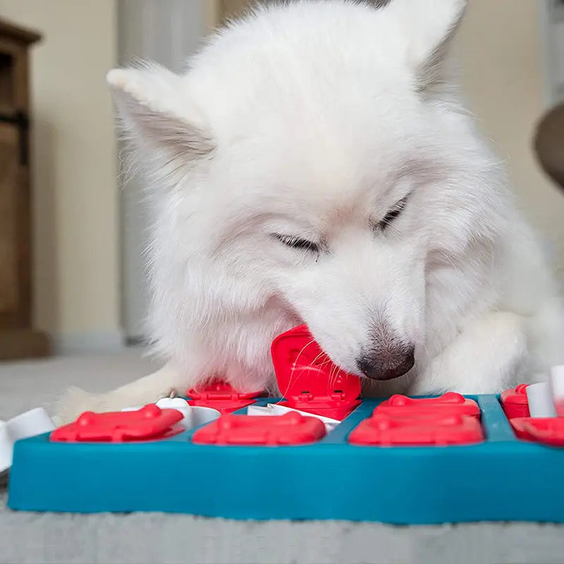 Pet Treasure Box Toy - GLR SHOPPING