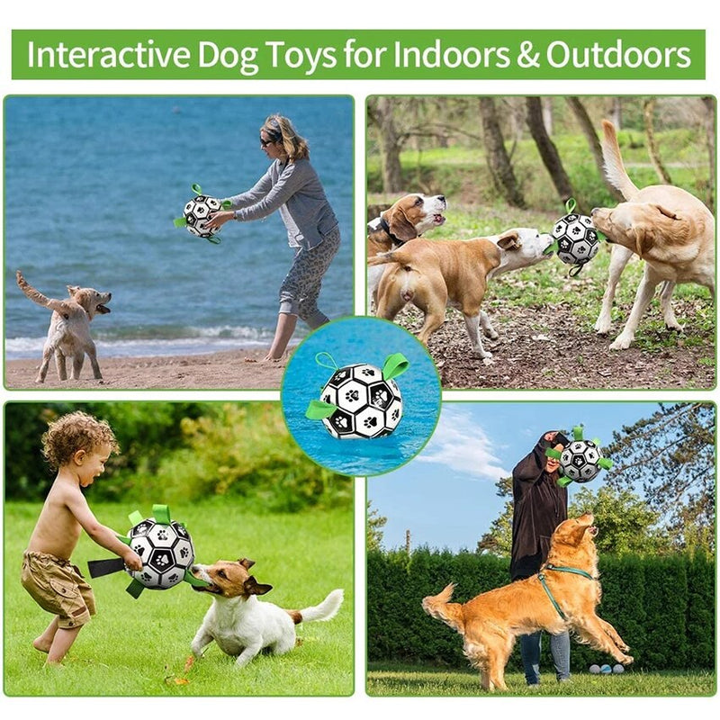 Interactive Pet Toy