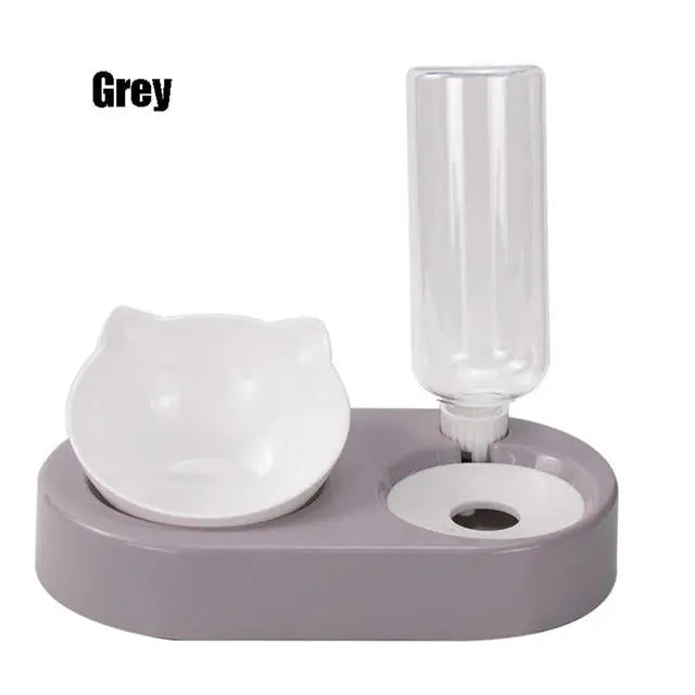 Pet Bowl Double Bowls Food Water Feeder With Auto Water Dispenser - GLR SHOPPING