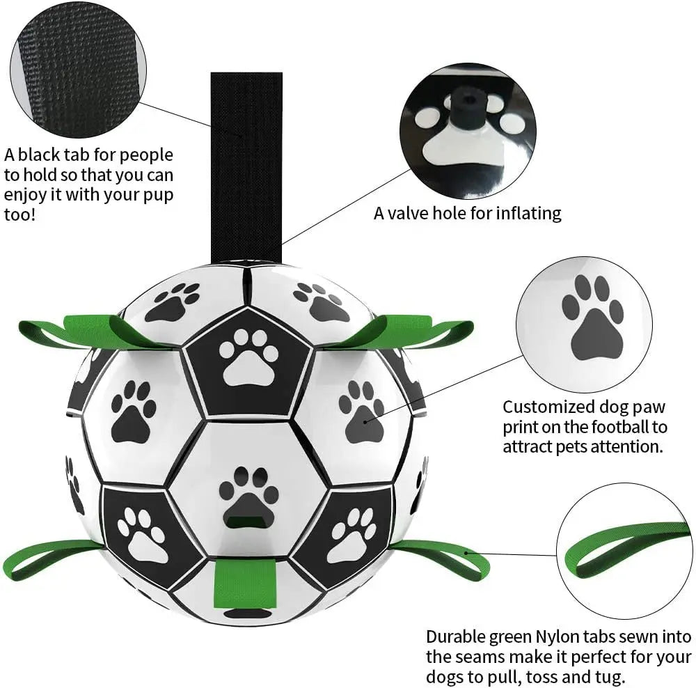 Interactive Pet Toy - GLR SHOPPING