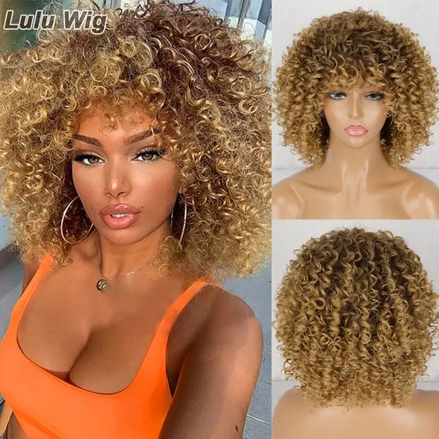 Afro Kinky Curly Wig - GLR SHOPPING