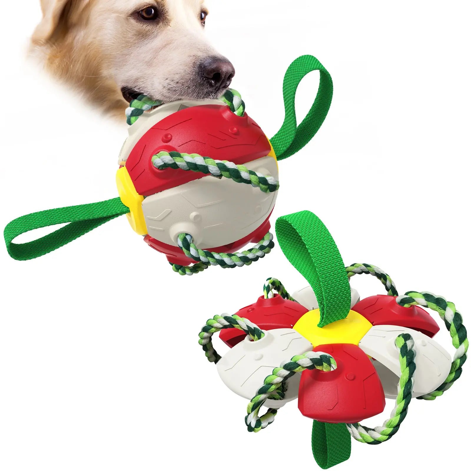 Interactive Dog Toy - GLR SHOPPING