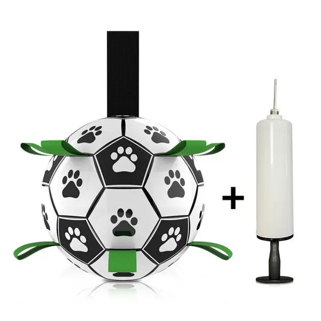 Interactive Pet Toy - GLR SHOPPING