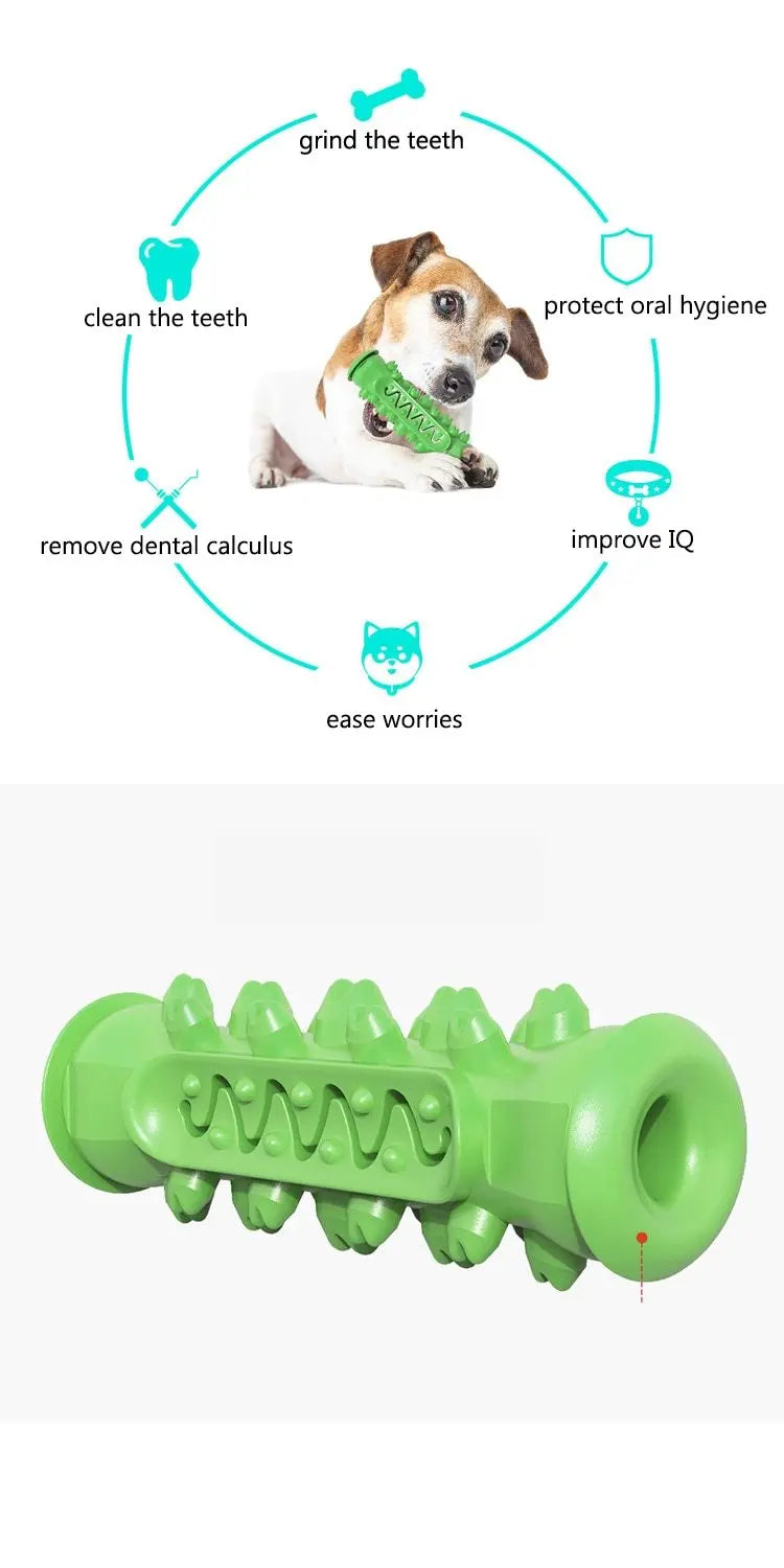 Chewing Toy for Dogs - GLR SHOPPING